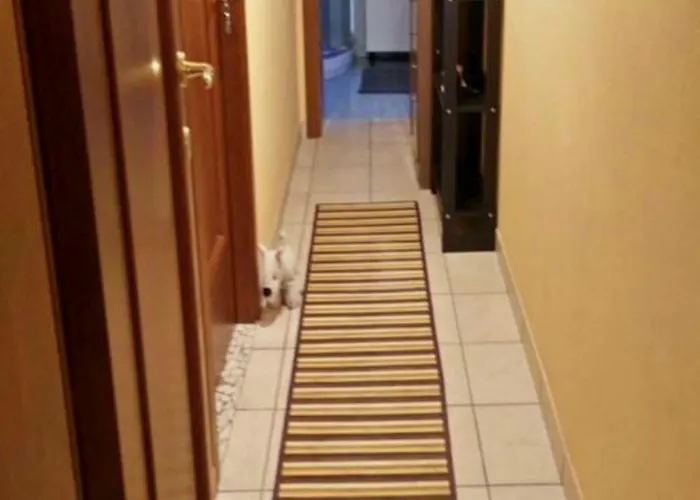 Stazione Centrale Bed & Breakfast